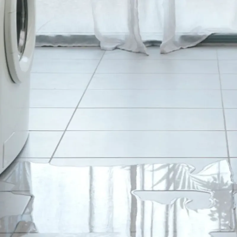 Appliance Leak Cleanup in Acton, CA