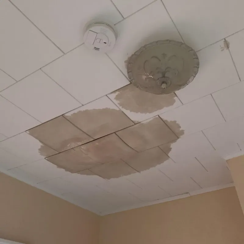 Ceiling Water Damage Repair in Acton, CA