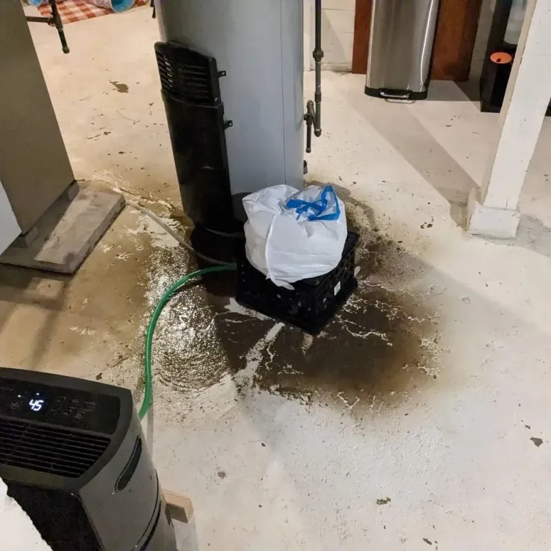 Sewage Backup Cleanup Service in Acton, CA